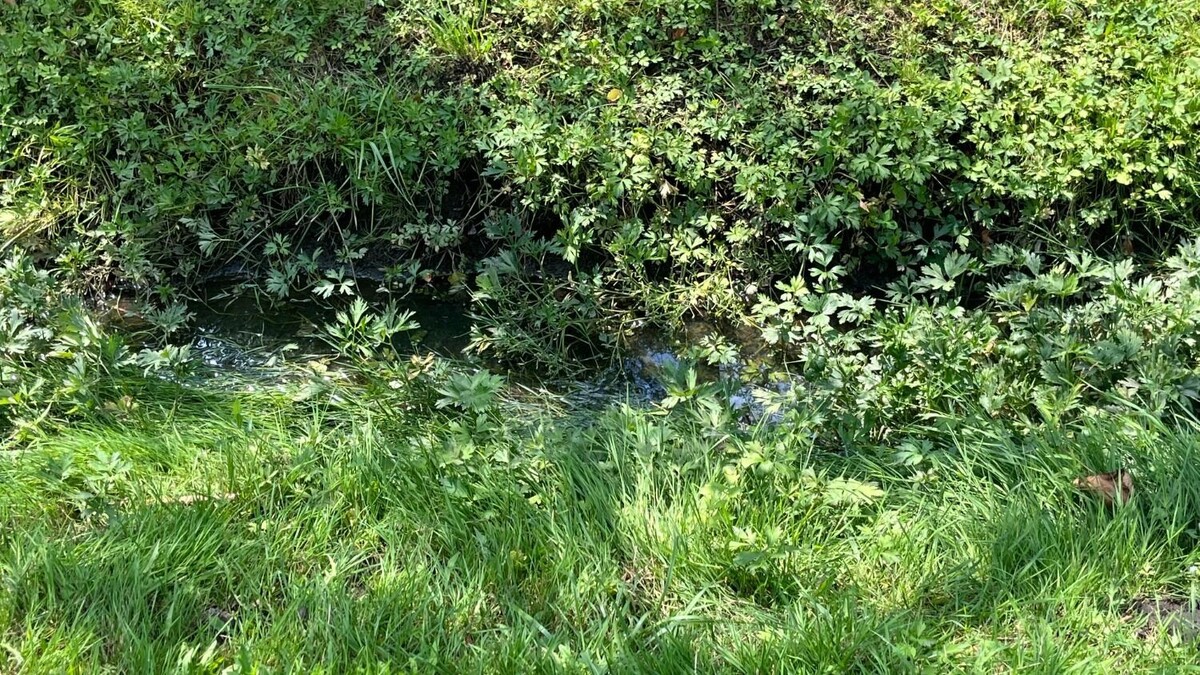     Автор: Алёна Мальцева Источник: bel.ru