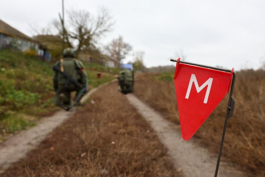    Наталья Шатохина/NEWS.ru