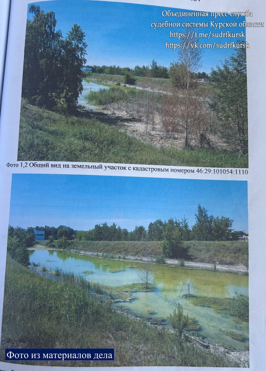 Фото: ОПСС Курской области