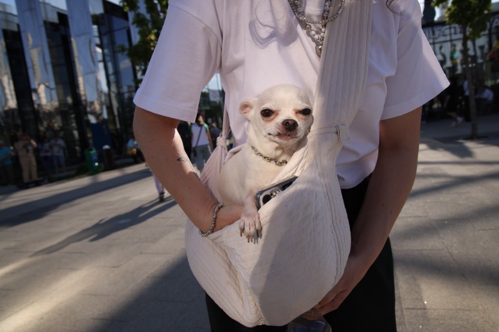    Фото © Анастасия Романова / Абзац