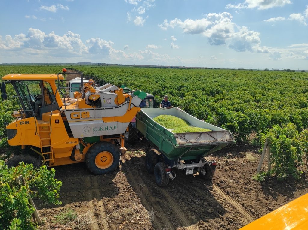    Фото: «ТАМАНЬ».