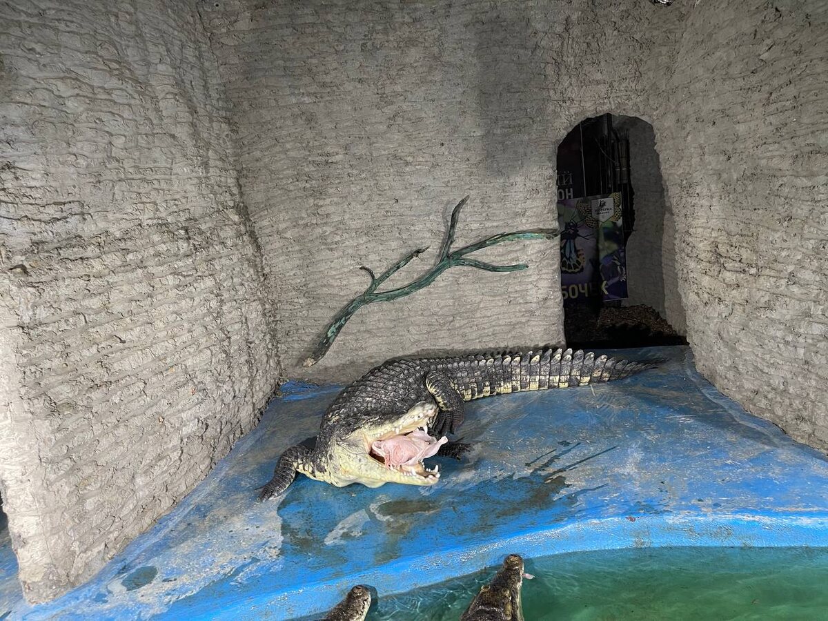 Не зря я поел перед "метяжом"