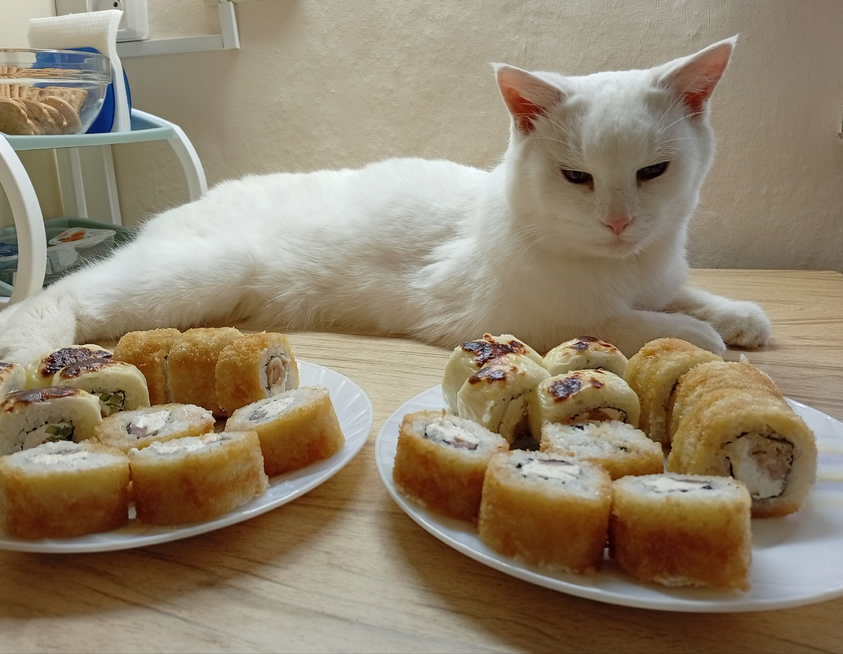 Тихон роллы не ест, но должен все проверить 