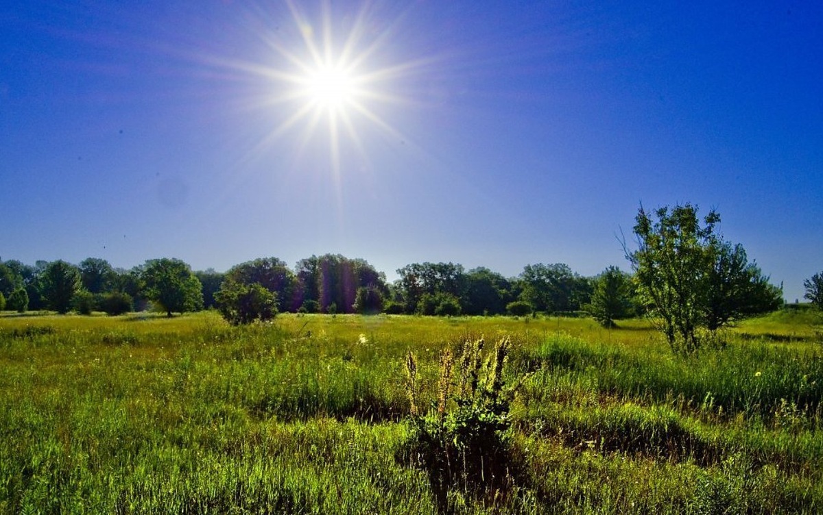 Фото из Интернета