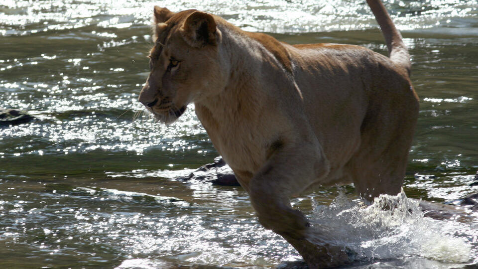 Фото: © www.globallookpress.com/Zoom Multimedia/Barcroft Media