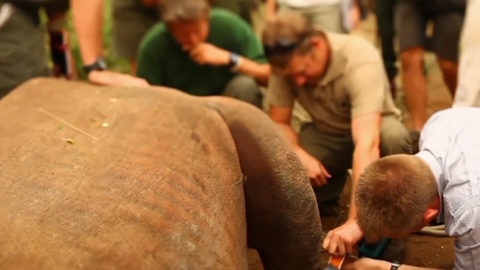 Фото: © Кадр из программы "Как устроен мир", РЕН ТВ