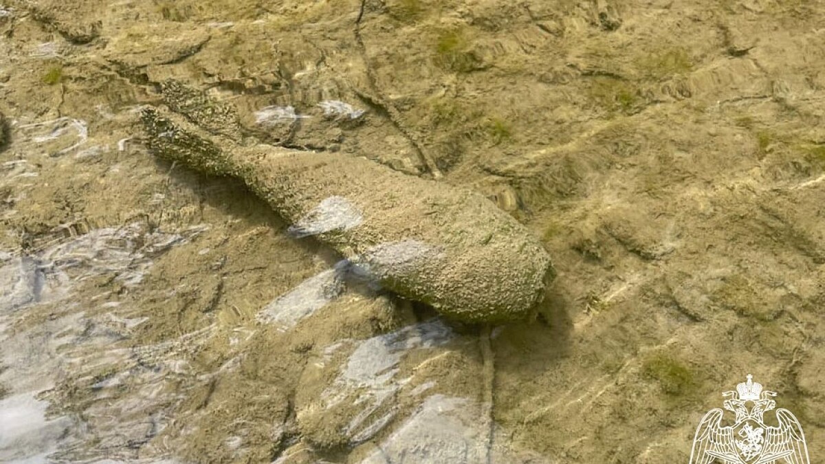    фото: ГУ Федеральной службы национальной гвардии РФ по Краснодарскому краю.