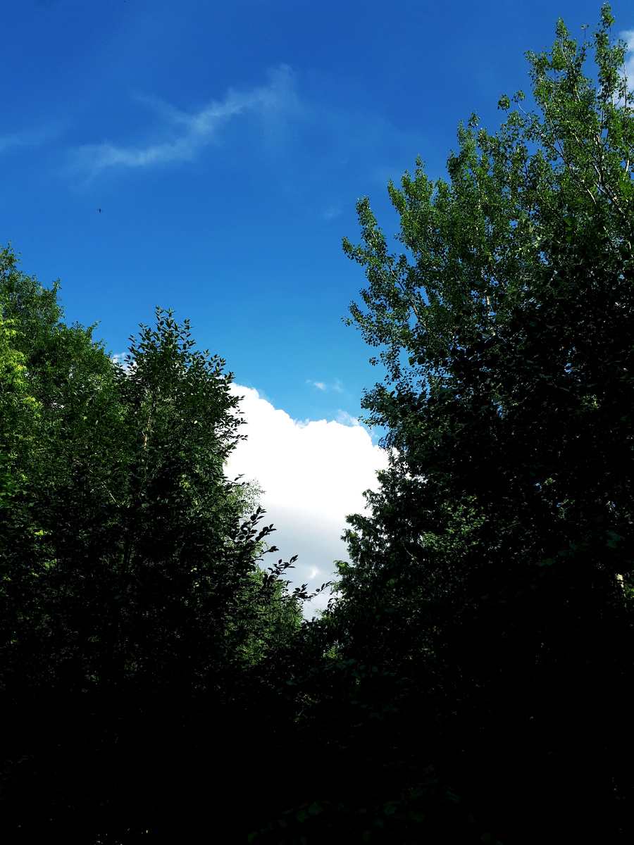 Фото автора 18.07.2025г.