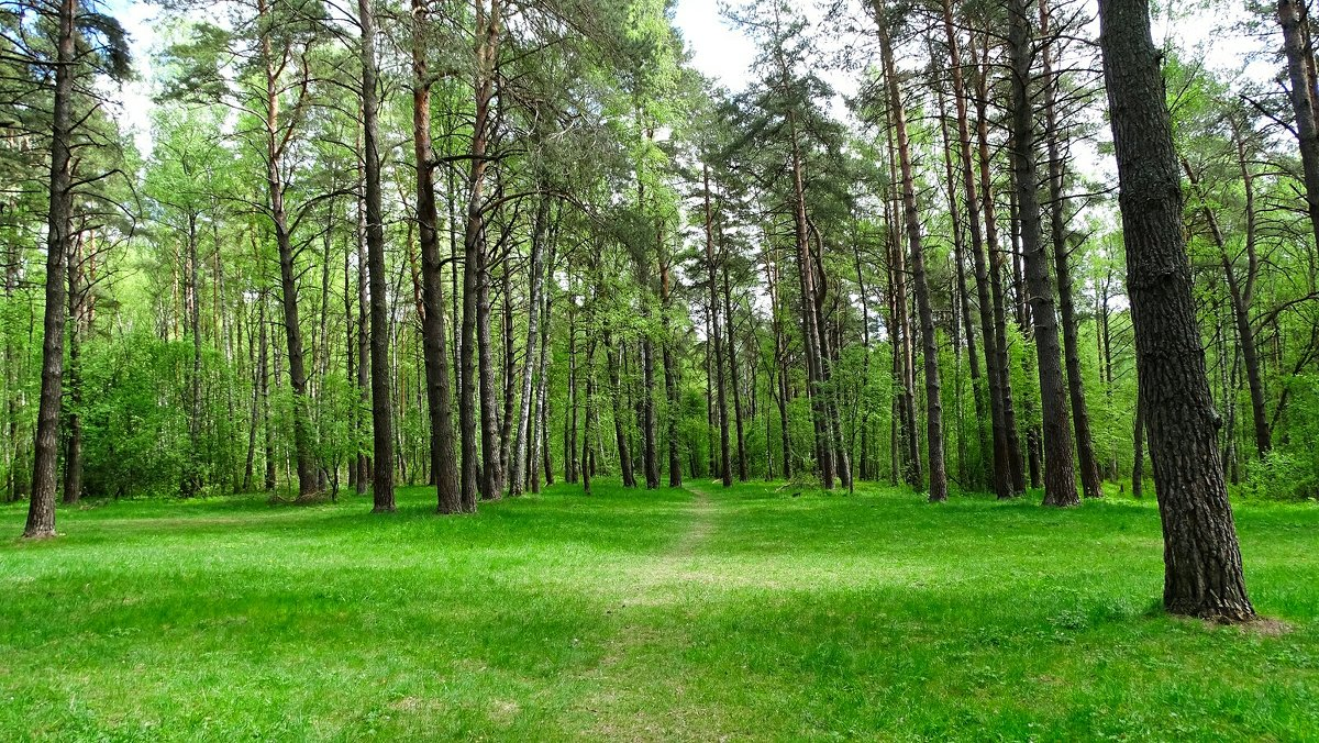 фото для иллюстрации с сайта fotokto.ru