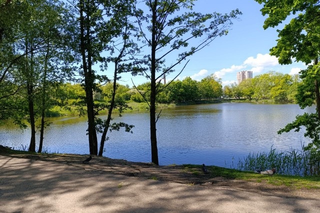   Фото из архива Калининград.Ru