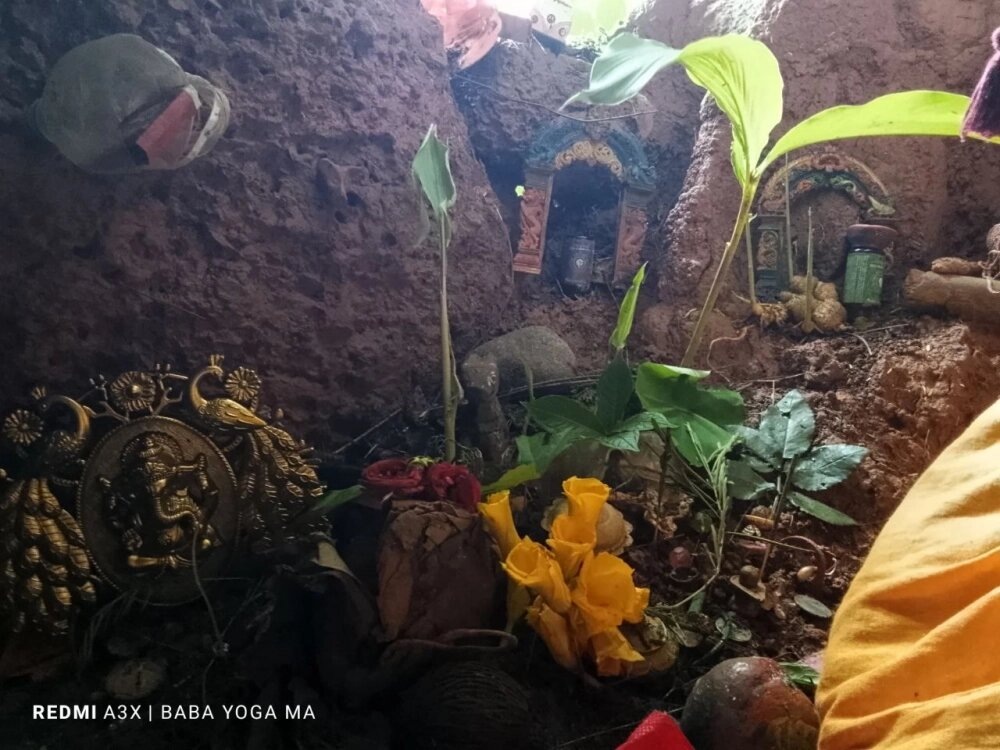 Фото: соцсети