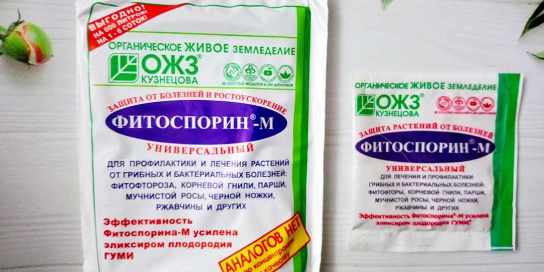 Фитоспорин - его разновидности и правила использования в саду