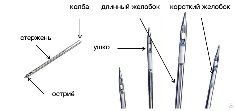 изображение взято из интернета