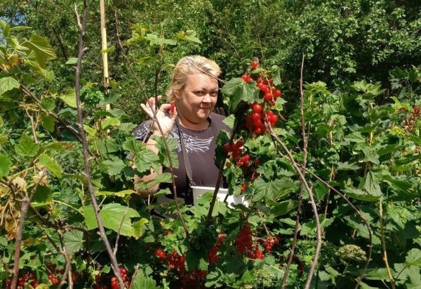 Хорошему урожаю погода не помешает: нижегородка Марина Глызова поделилась правилами работы в огороде  📷
