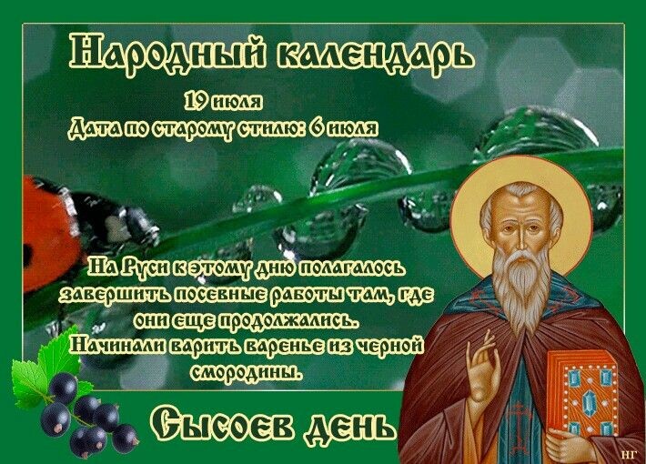 своюод.источник