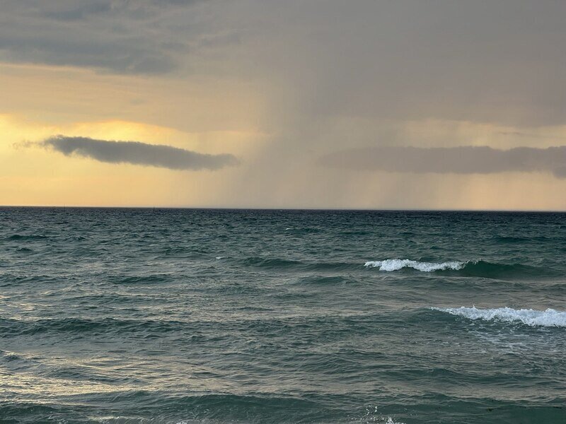 Фото: Наталья Сомова