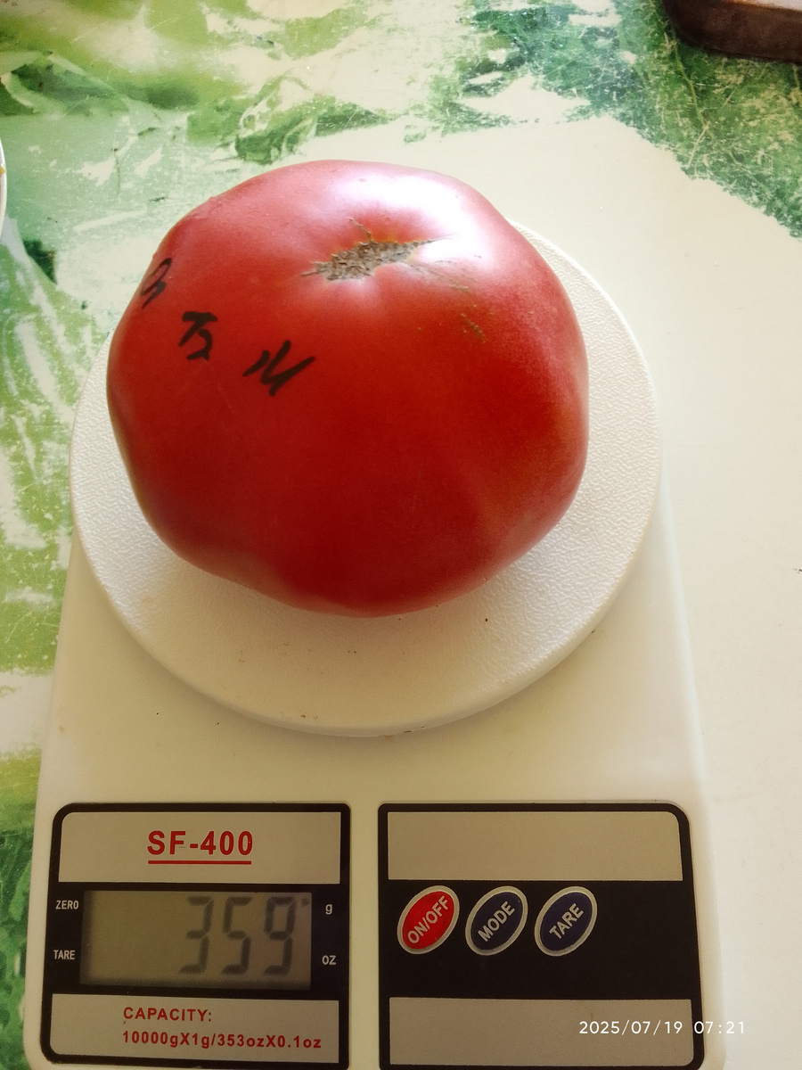 Фото из моей галереи