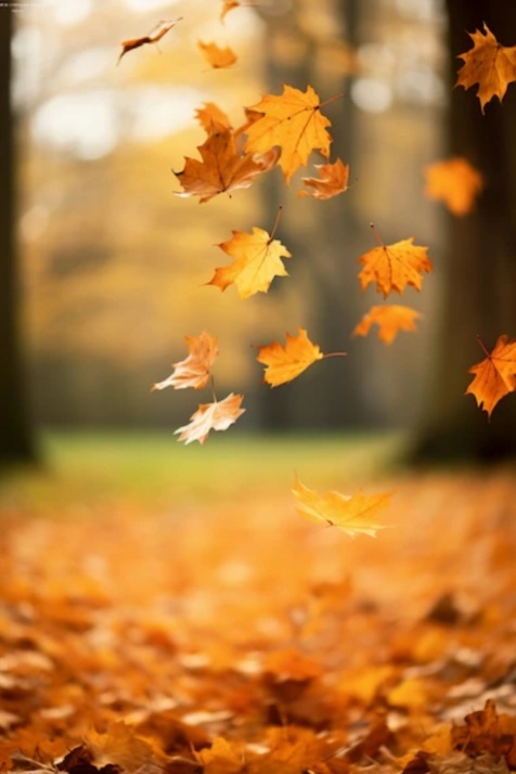 Картинка из интернета 