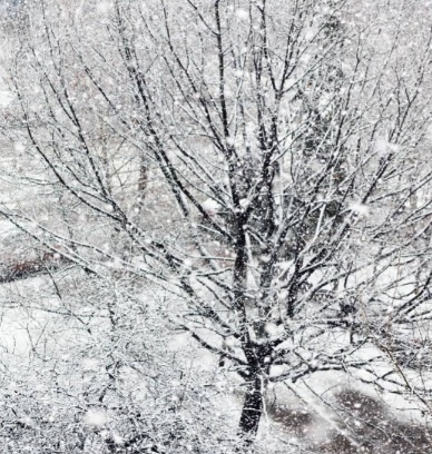 Картинка из интернета 