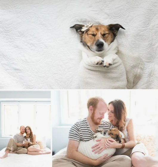 Фото с сайта Pinterest