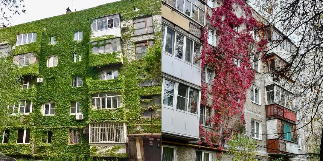 Нашли лучшее дизайн-решение для наших панелек - прямиком из СССР