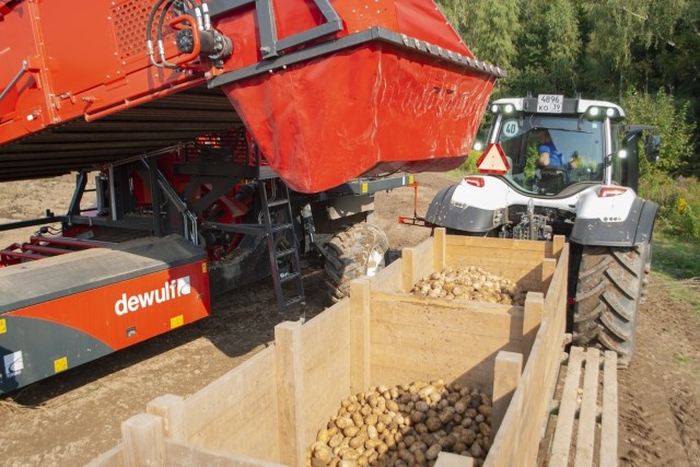   Фото из архива Калининград.Ru