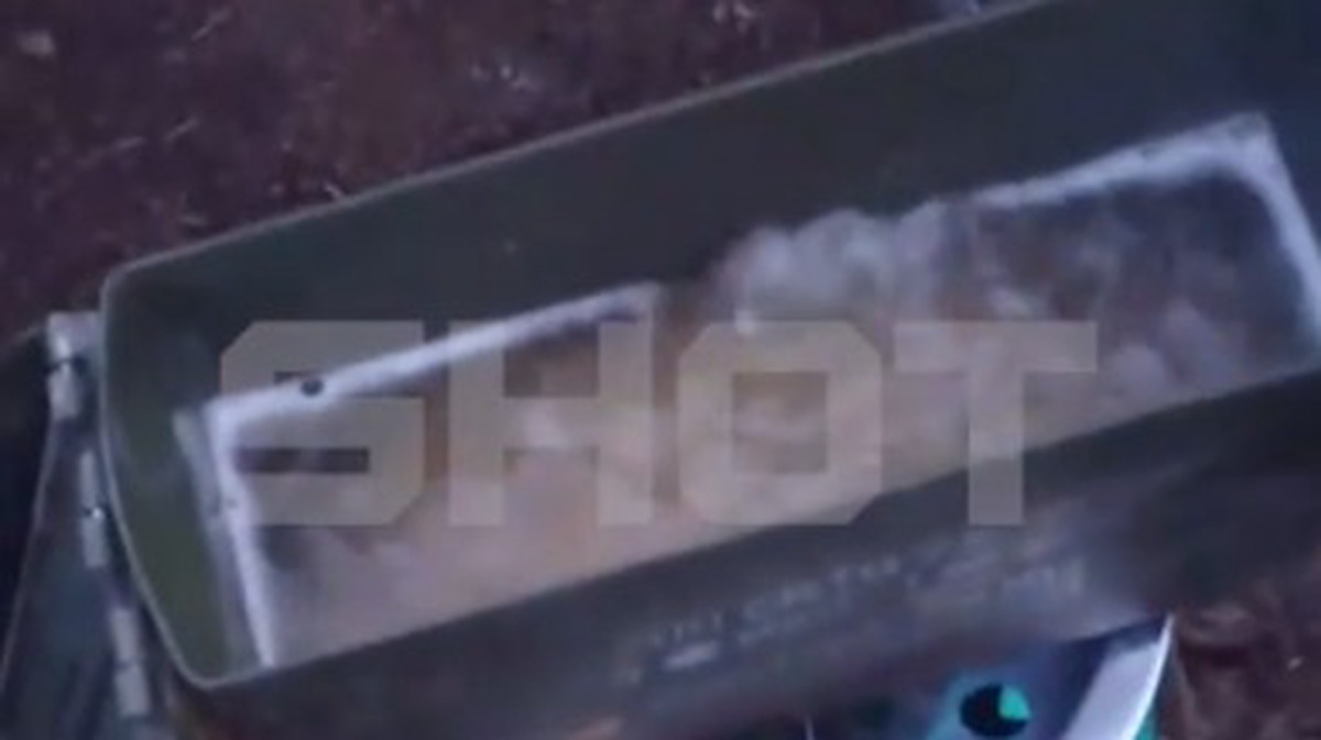    Фото: Скриншот видео / Shot / Telegram