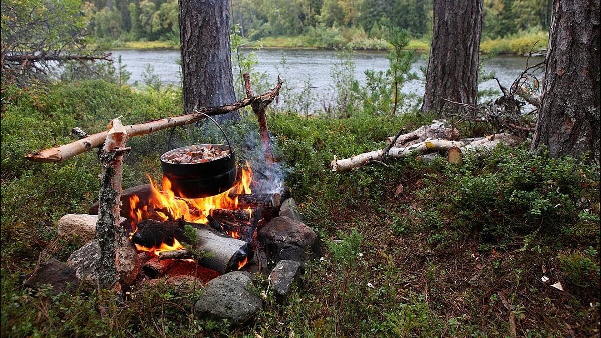 картинка из интернета