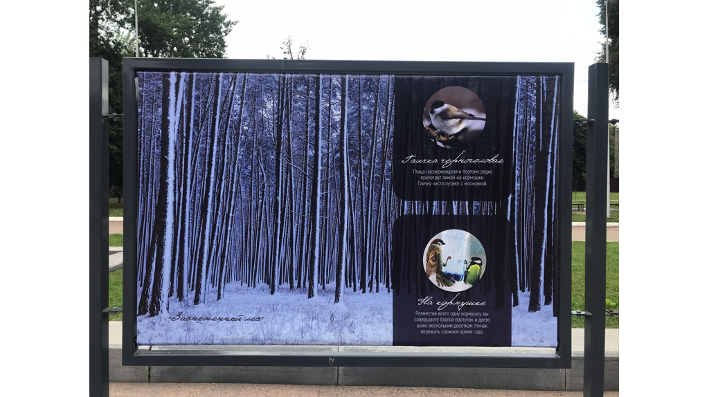 Листайте вправо, чтобы увидеть больше изображений