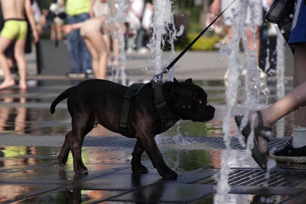    Фото © Анастасия Романова / Абзац