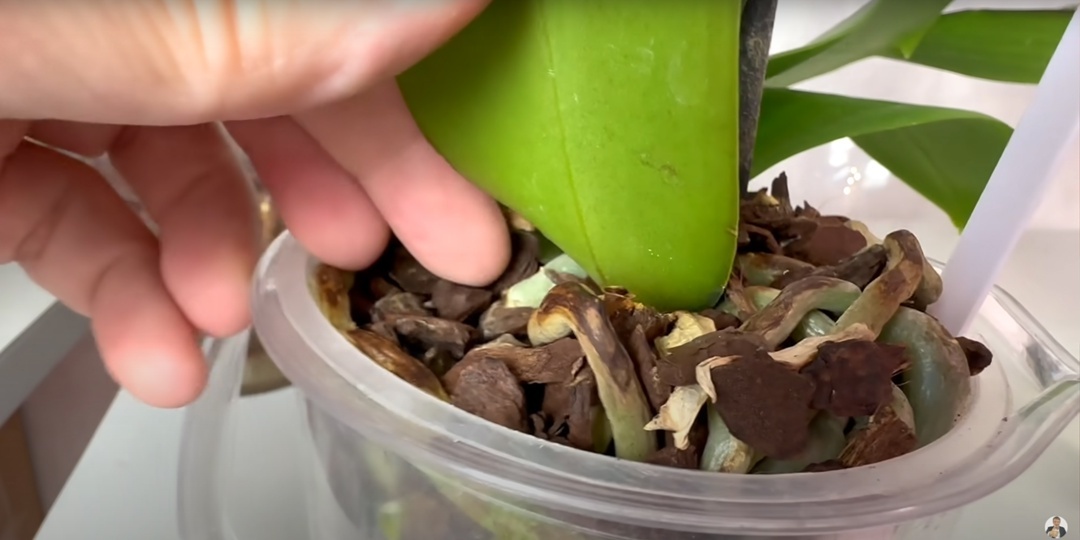 Создать карусель