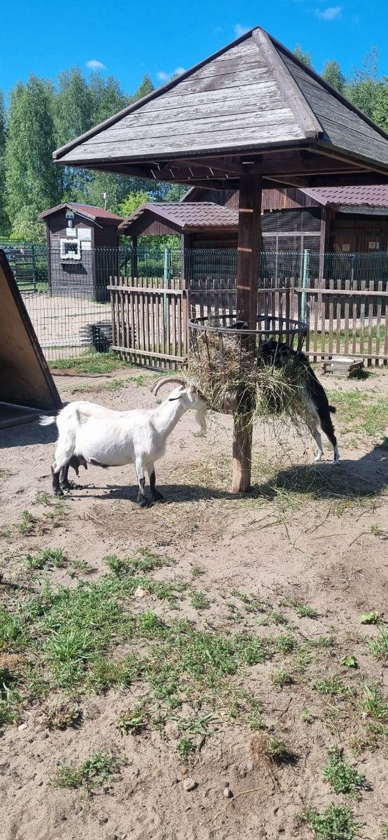 Фото из архива автора 