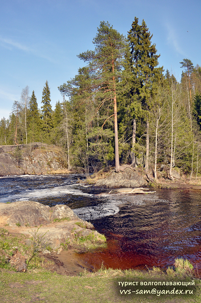 Фото 19.05.2014.