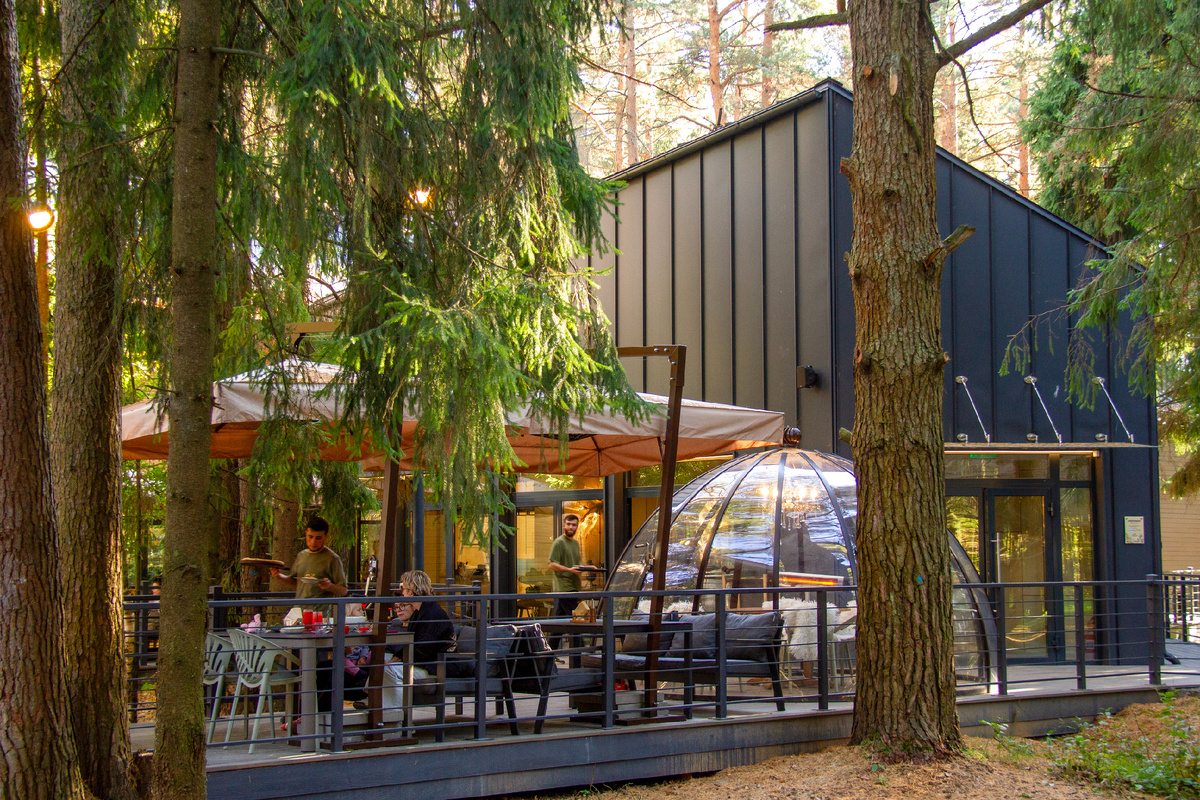 Ресторан Шишки Мишки в Павловской Слободе - проект HalleHouse