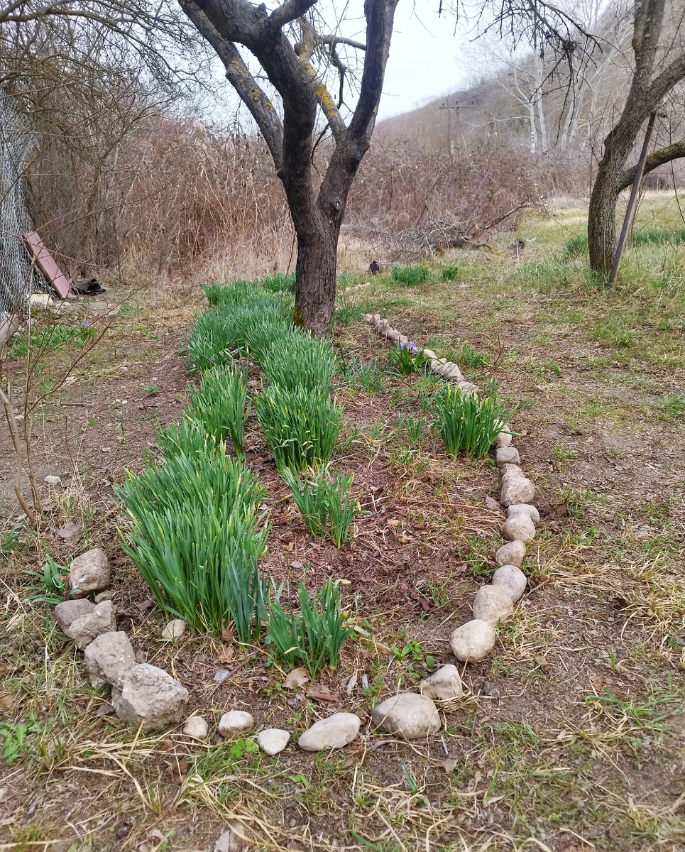 20.03.2025 г. Открытие дачного сезона.