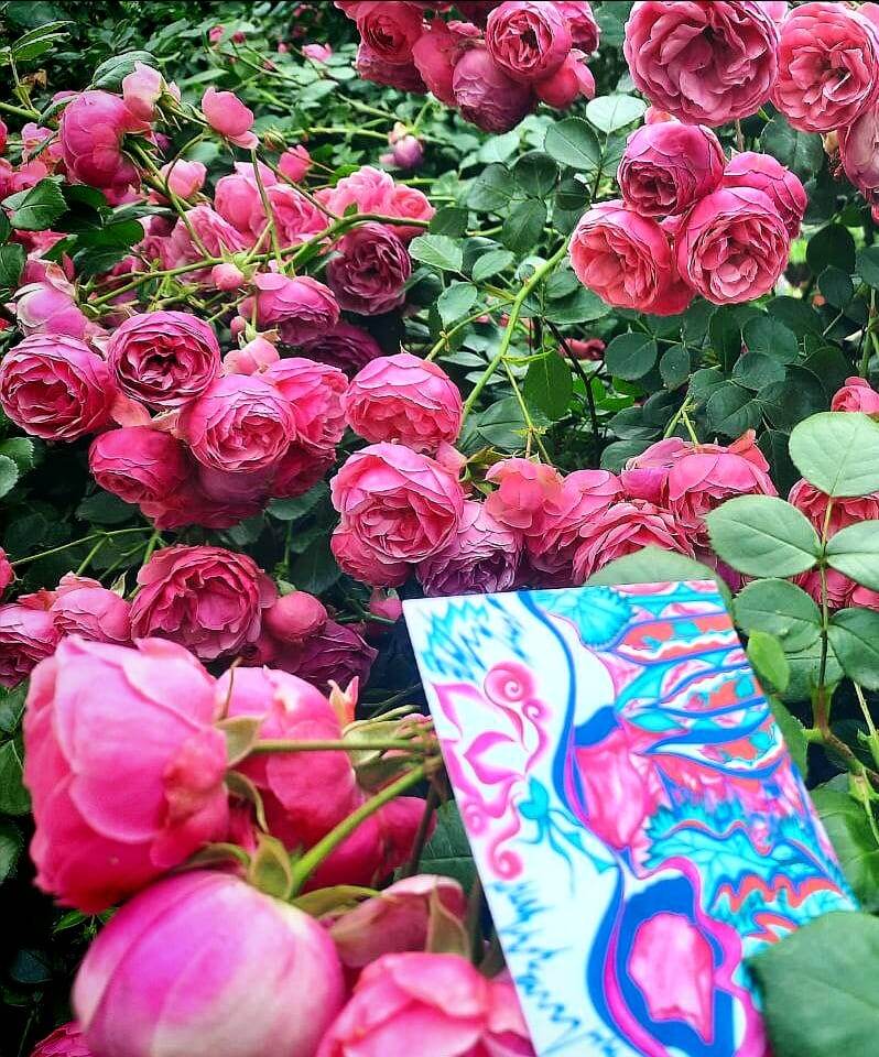 Цветочная символика украшает нашу повседневную жизнь