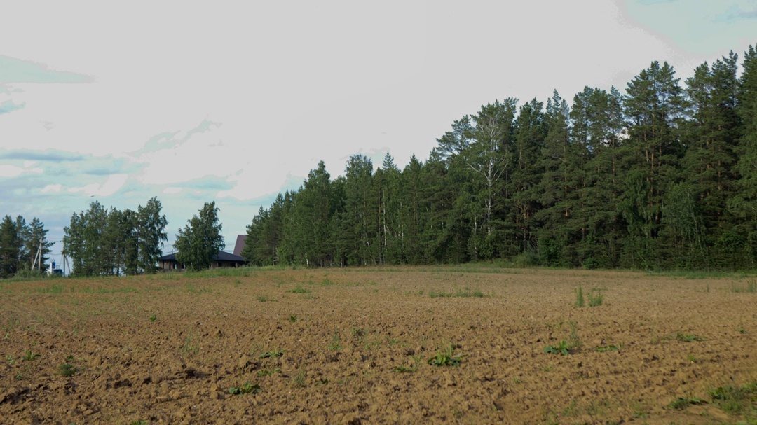 А где дорога? А нет дороги(