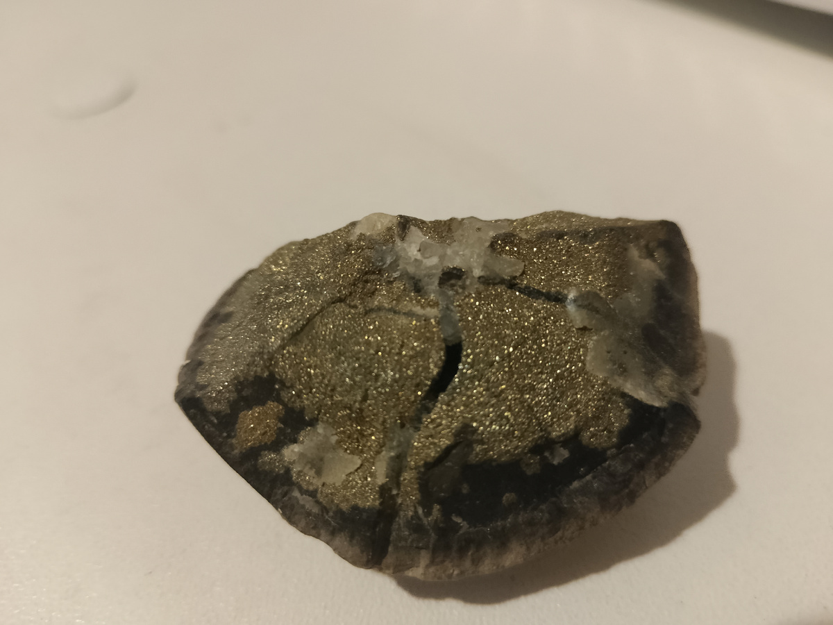 Фото автора, мой симбирцит, нашла сама