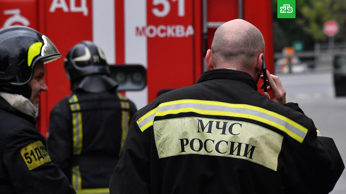    Фото: РИА Новости © 2025, Максим Блинов