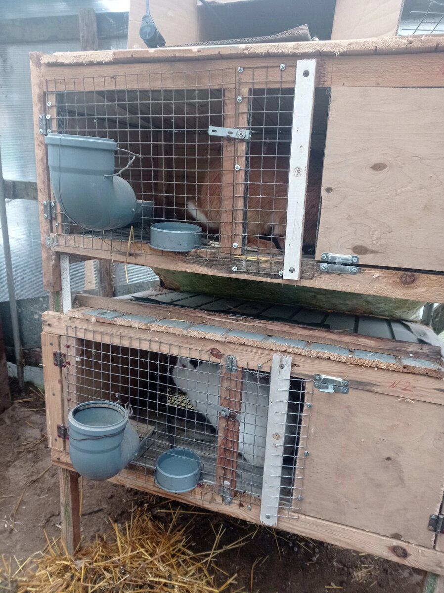 Наша первая клетка из старого стеллажа