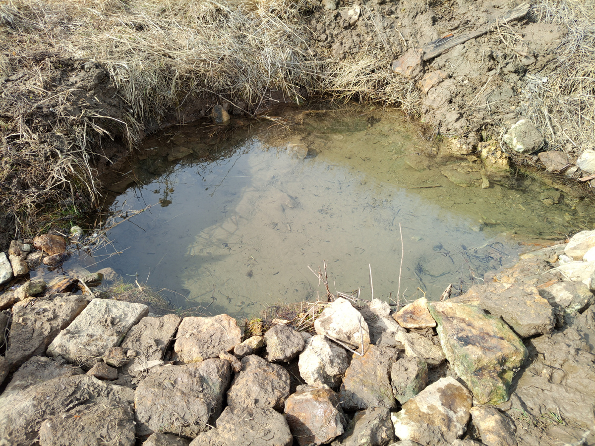 Фото из личного архива