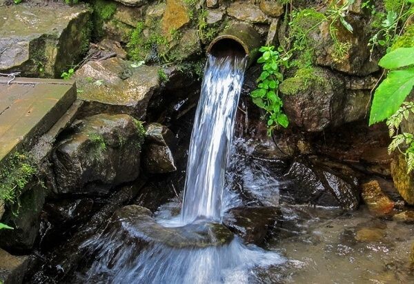 Фото из интернета в свободном доступе