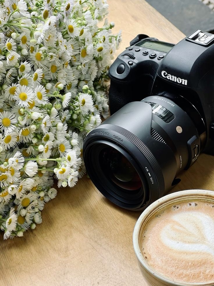 Фото с интернета 