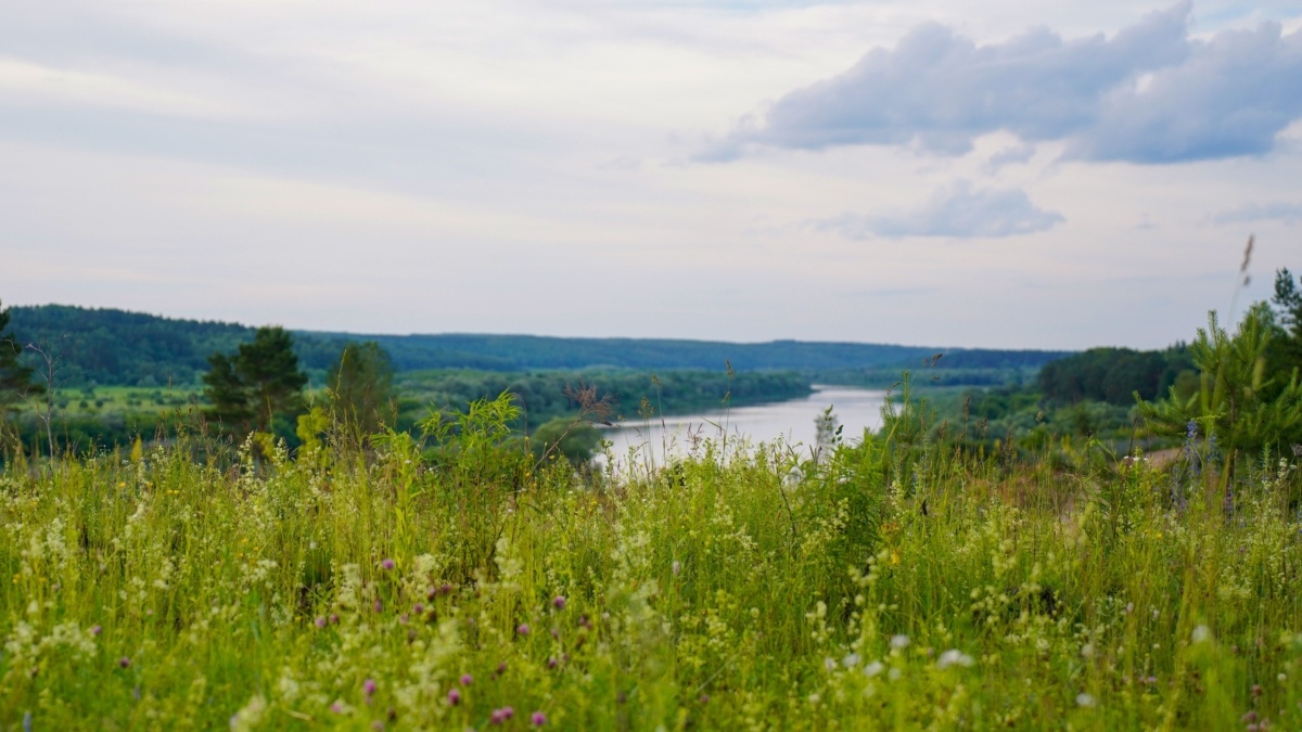 Светлана Мулыкина📷
