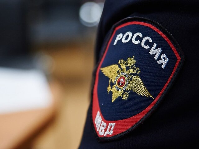    Фото: Агентство "Москва"/Александр Авилов