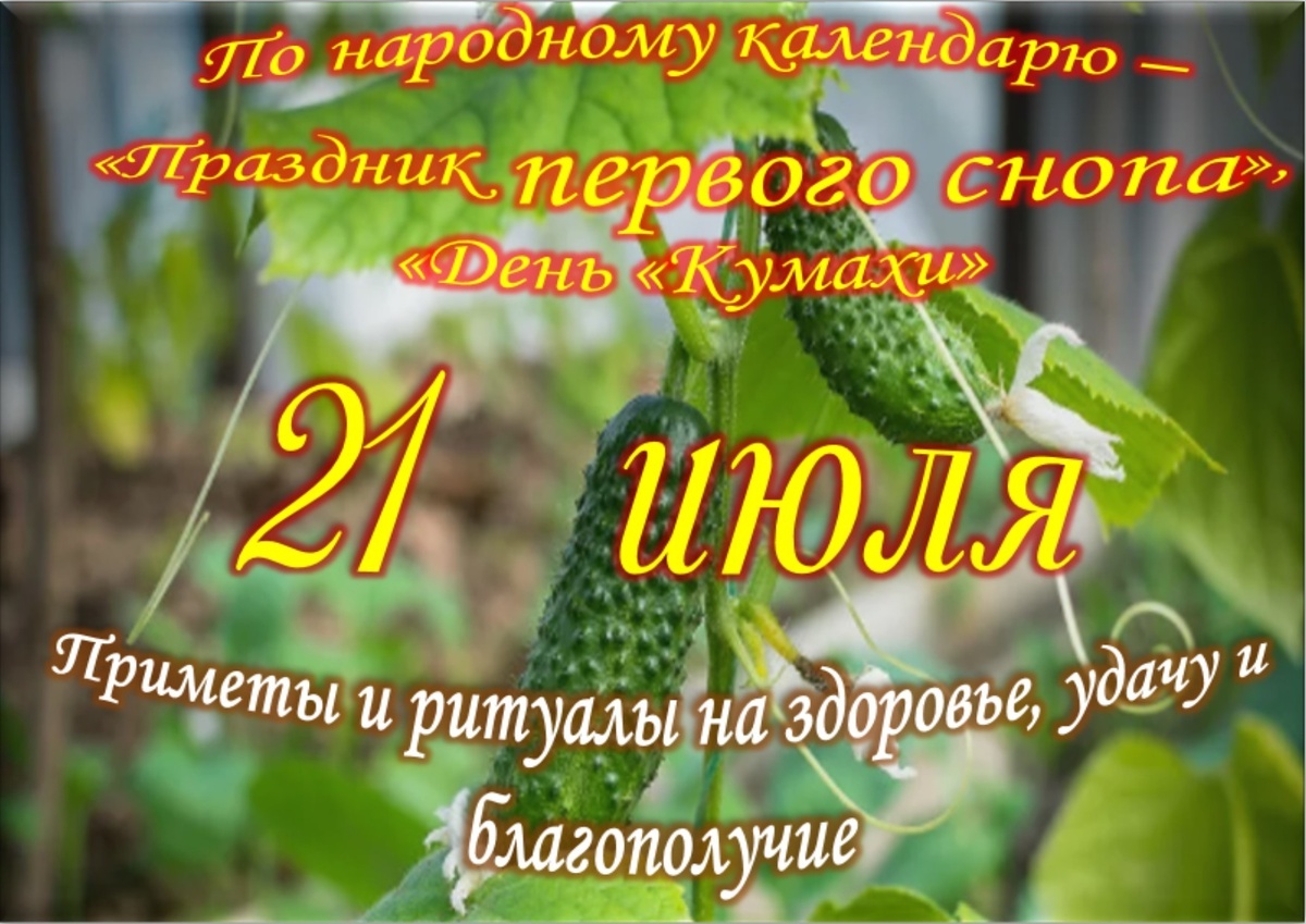 Встречаем новый день