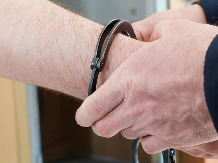     Белгородец вырастил на огороде 230 кустов мака и попал под статью, фото: Вадим Заблоцкий/БелПресса (архив)