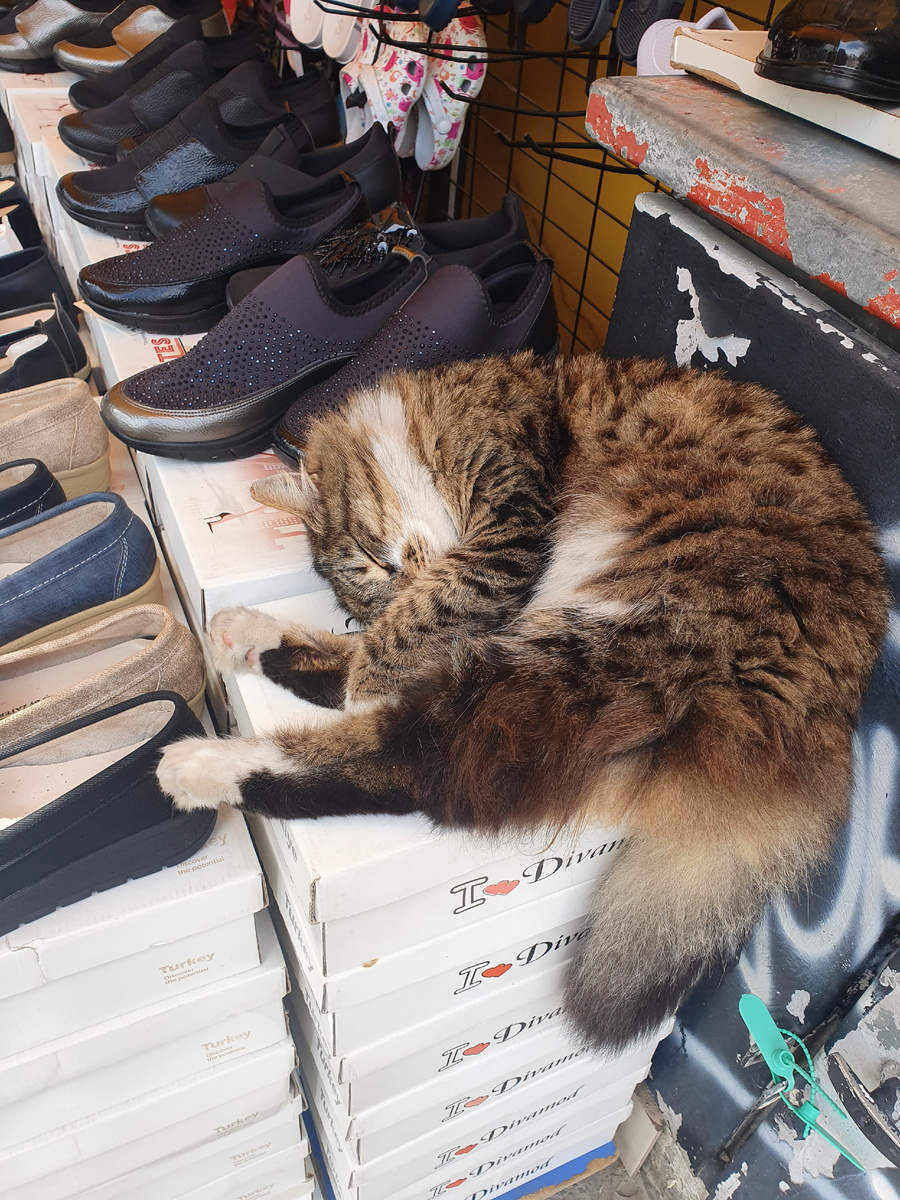 Ходишь смотришь обувь, а тут такая милота!