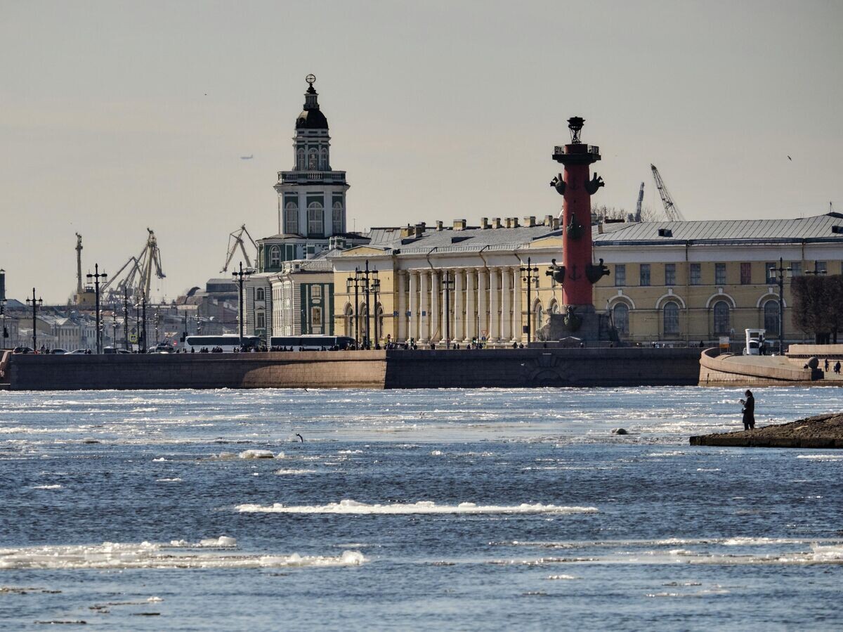    Санкт-Петербург© РИА Новости / Алексей Даничев