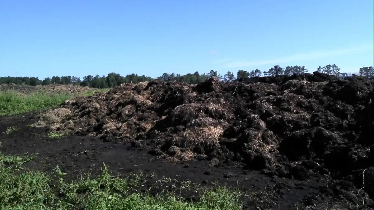 Фото:38.fsvps.gov.ru
Складирование навоза не сельхозземлях